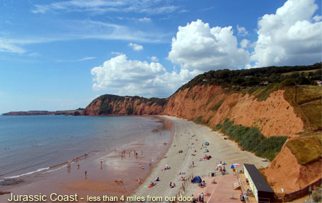 Sidmouth Pubs - Cannon Inn